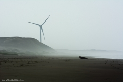 Wind Turbine on the Desert Coast